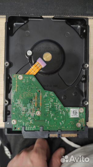 Жёсткий диск Western Digital 6tb blue