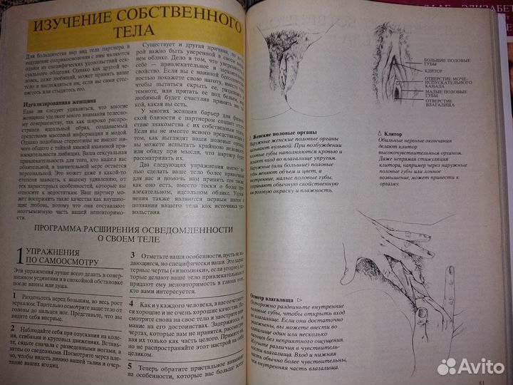 Секс в жизни женщины и мужчины