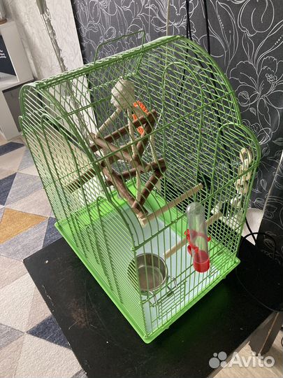 Клетка для попугая