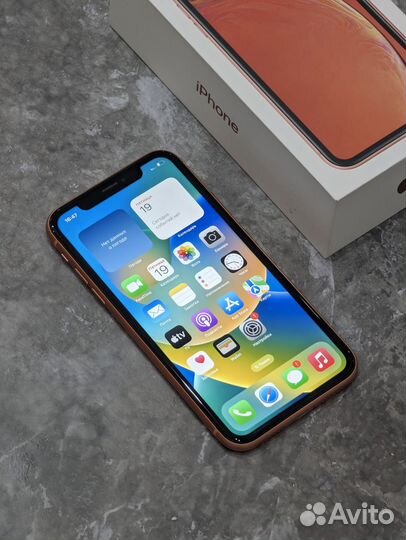 iPhone Xr, 64 ГБ