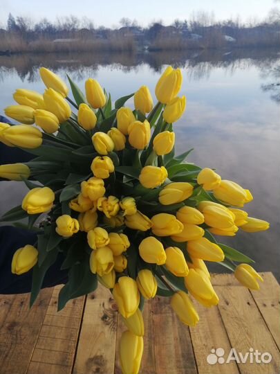 Тюльпаны к сезону 2024г. Бронь, ассорт сортов