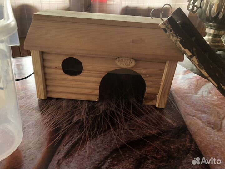 Клетка Дом для крысы хомяка шиншиллы грызунов