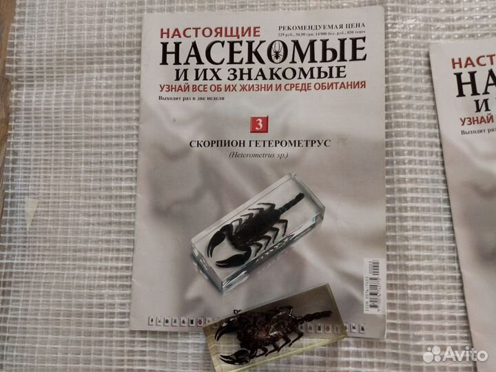 Жуки в смоле. больше