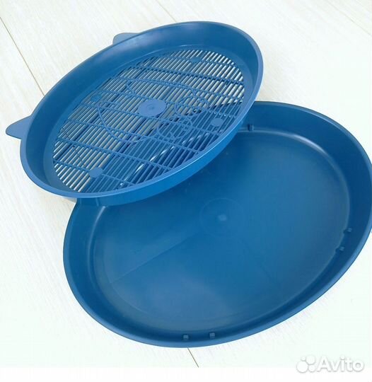 Лоток и не только для котят