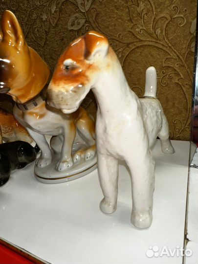 Собаки лфз СССР