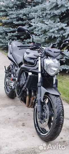 Yamaha FZ6N