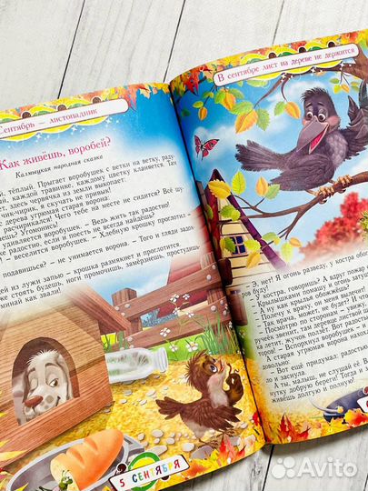 365 сказок и историй на каждый день