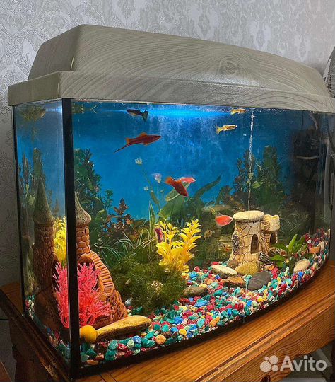 Аквариум с тумбой