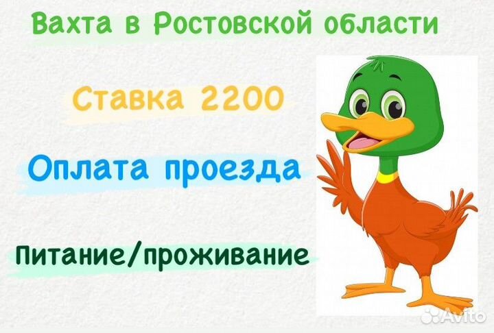Вахта Птицефабрика - утка. Ростовская область