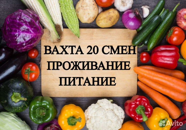 Вахта 15/20/30 / проживание + 3х питание/ Фасовщик