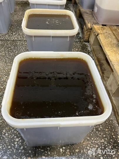 Мёд разнотравье темное качка 2023 год Опт