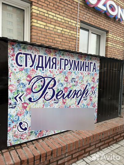 Груминг стрижка, окрашивание собак и кошек