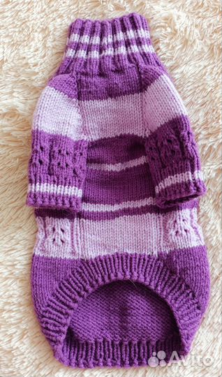 Одежда для собак