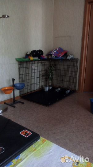 Клетка для собак