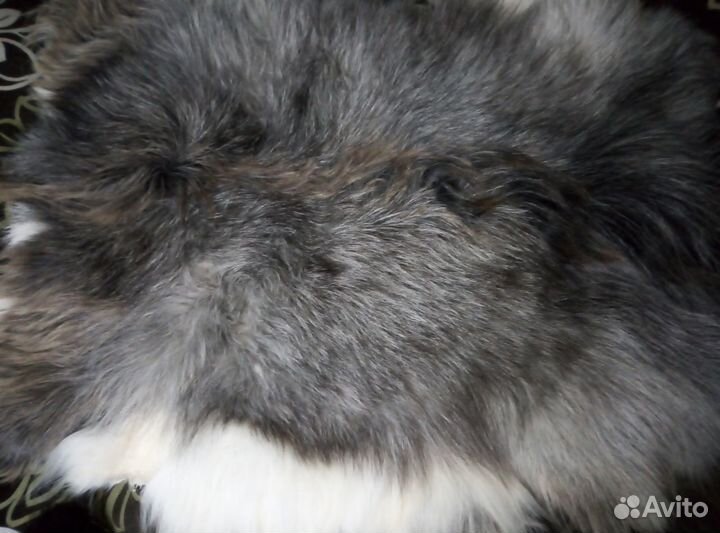 Выделка шкур диких и домашних животных