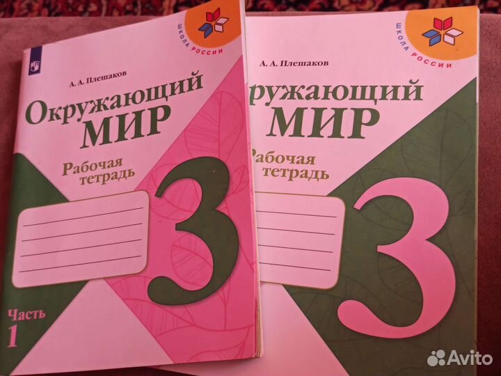Рабочая тетрадь окружающий мир плешаков 3 класс