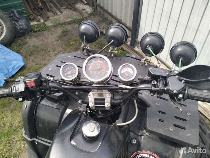 Tiger Max Grade 300