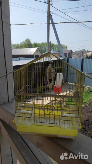 Клетка для попугая бу