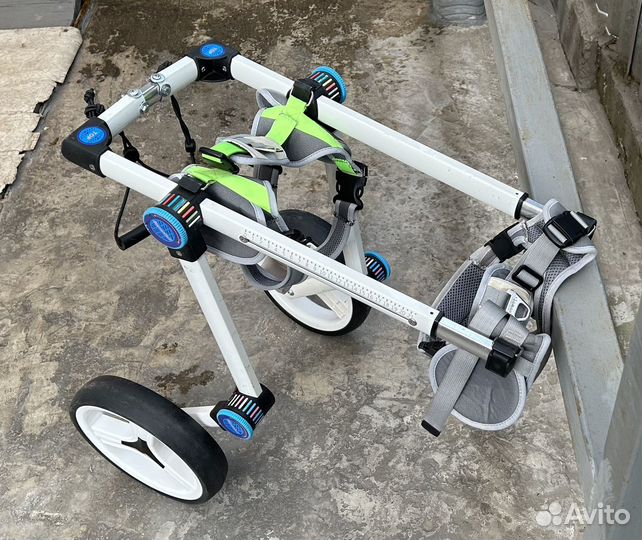 Инвалидная коляска для собак