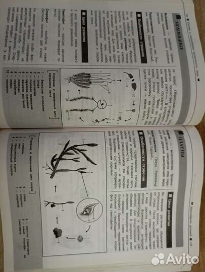 Справочник для подготовки к огэ и егэ. Никитинская
