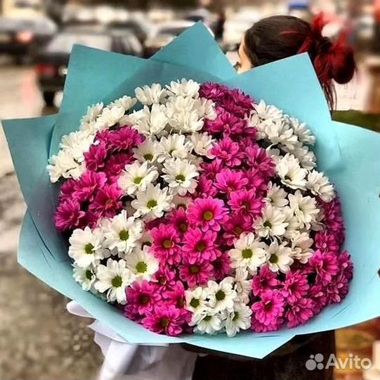 Букет Хризантем цветы