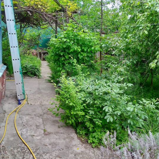 Участок 5,9 сот. (ИЖС)
