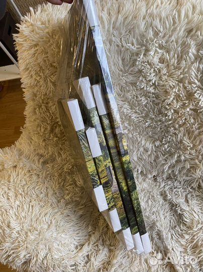 Новая Модульная картина 5 частей лес запакованная