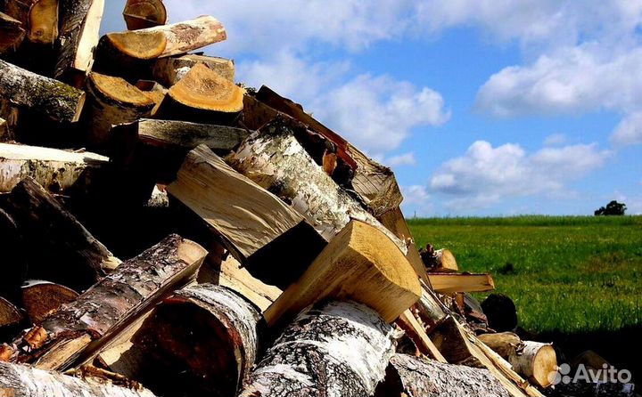 Дрова с Выборга