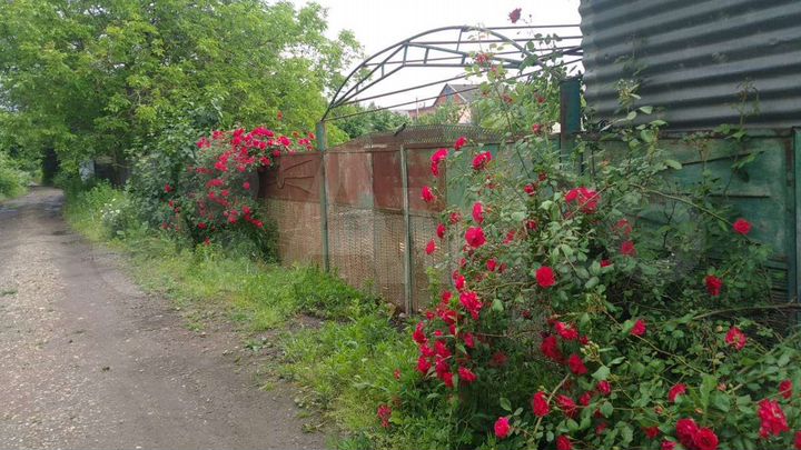 Дача 20 м² на участке 4 сот.