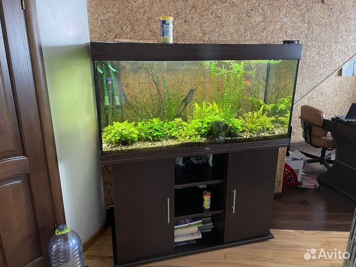 Аквариум Атолл 500 литров