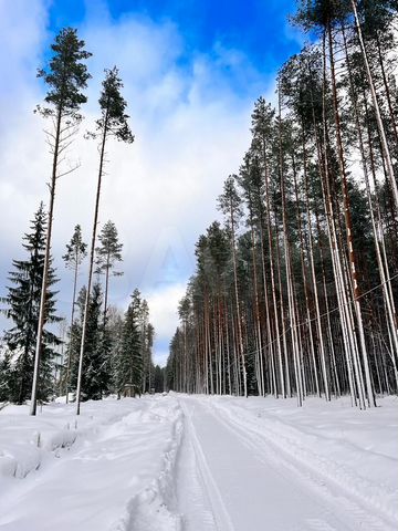 Участок 8 сот. (СНТ, ДНП)