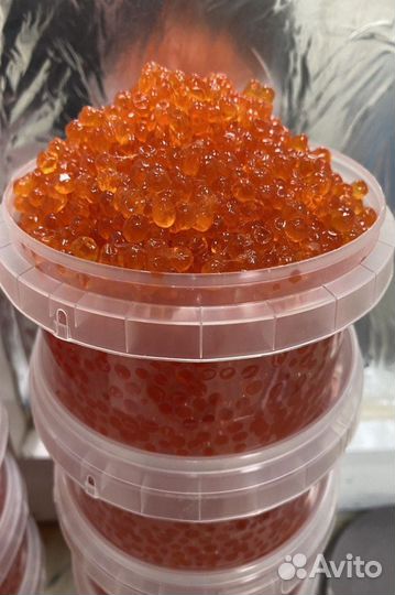 Красная икра оптом