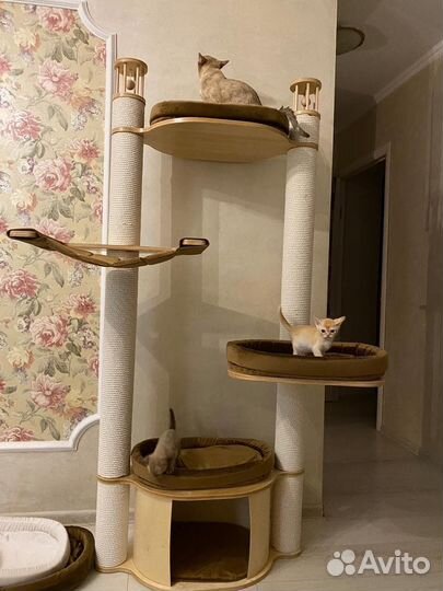 Когтеточка домик от производителя