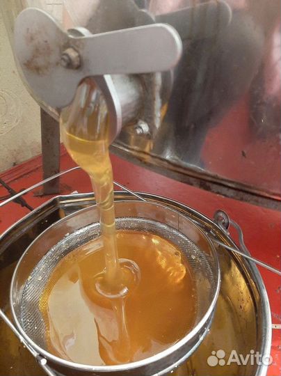 Цветочный мед оптом свежий