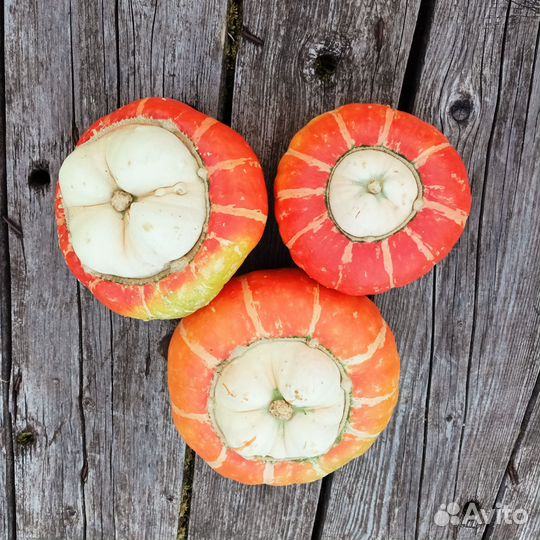 Тыква декоративная осенний декор для дома