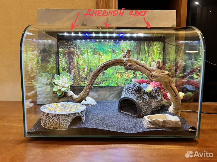 Террариум для рептилий