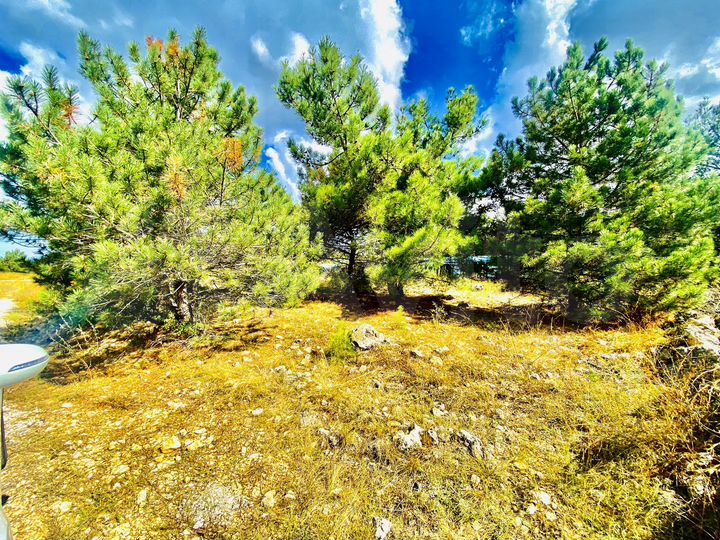 Участок 4 сот. (СНТ, ДНП)