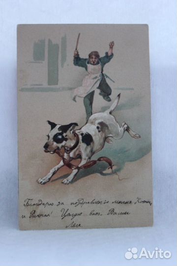 Царизм антикварные,кошка,собака вдавленная 1903