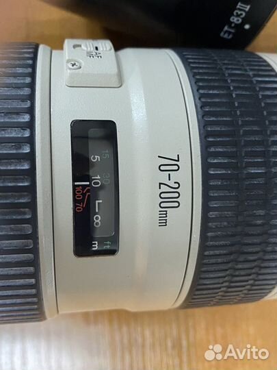 Canon EF 70 200mm f 2.8 L