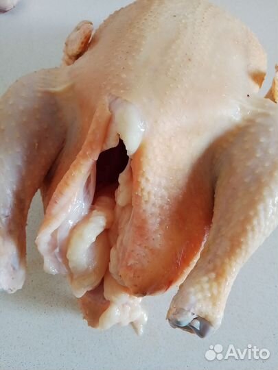 Мясо бройлера