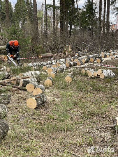 Измельчитель веток. Аренда дробилки