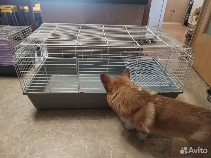 Клетка для грызунов очень большая, большая