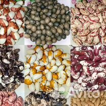 Семена фасоли (мировая коллекция 300 сортов)
