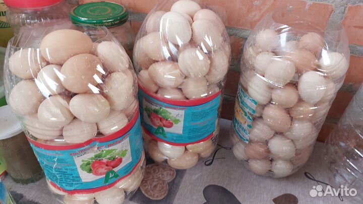 Петушки и куры молодняк