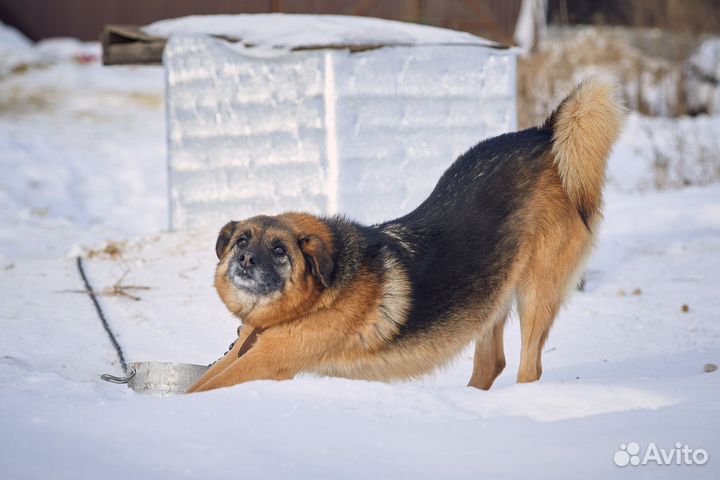 Леся ищет добрую семью