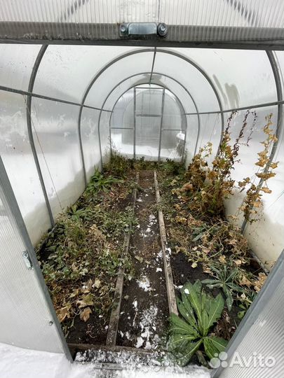 Теплица бу