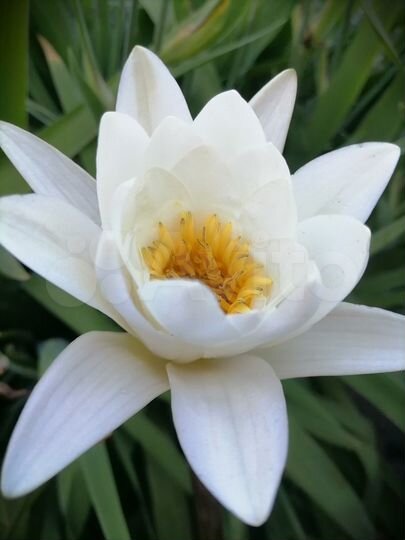 Дом 40 м² на участке 15 сот.