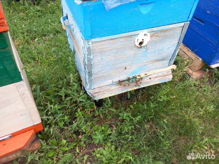 Башкирский мед 2023