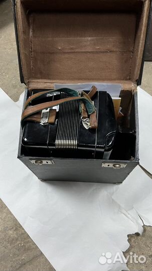 Баян тульский