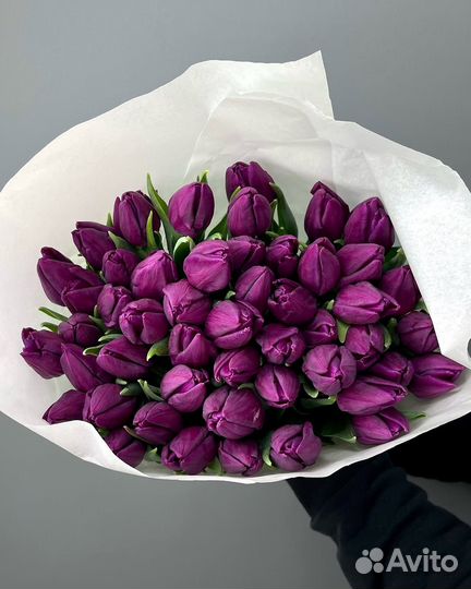 Тюльпаны к 8 марта Магадан